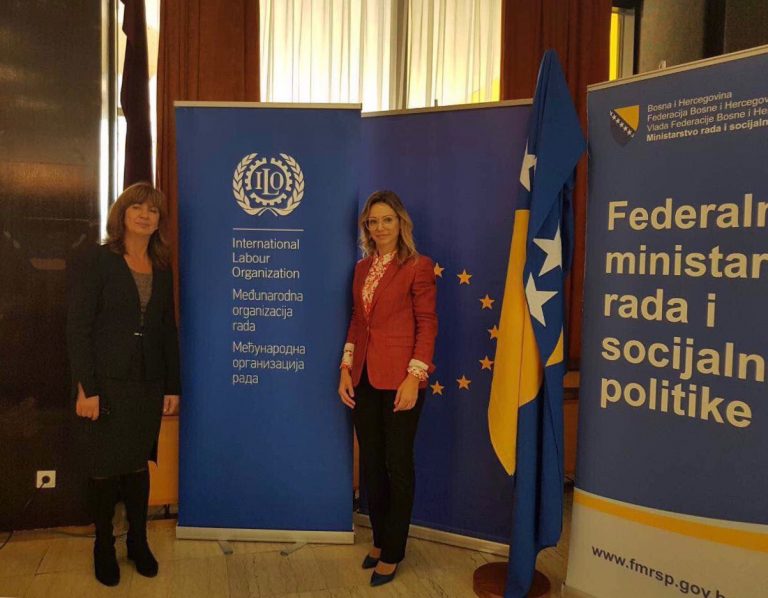Prof. Dr. Nikica Mojsoska Blazevski at Employment Strategy Workshop in Bosnia and Hercegovina