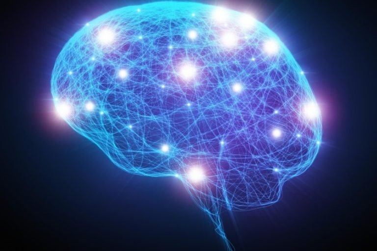 UACS SPS students visited “Cognition”, Center for Neuropsychology, Psychotherapy and Psychology